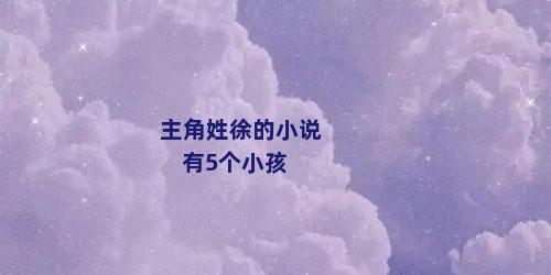 主角姓徐的小说 有5个小孩